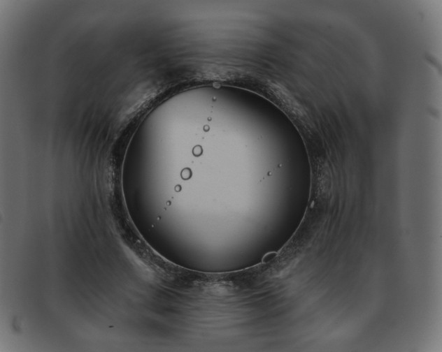 X0000093480683200710121446