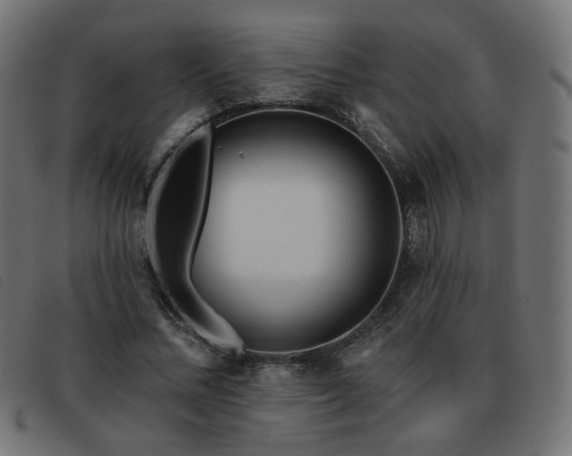 X0000093480684200710121446