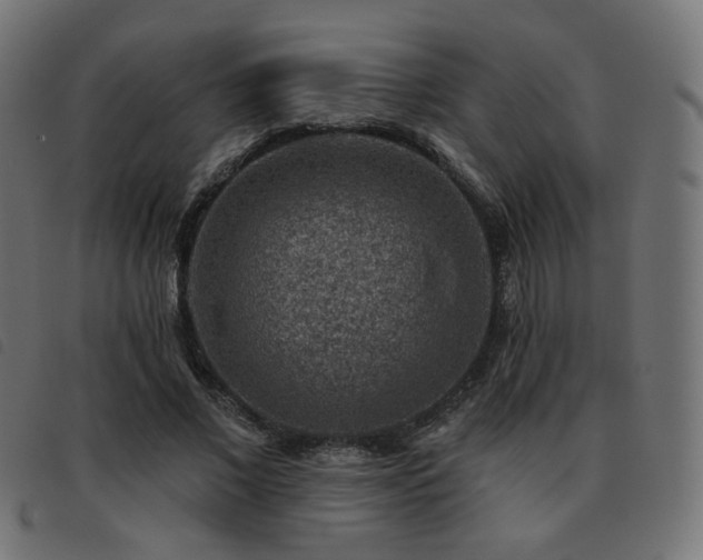 X0000093480685200710121446