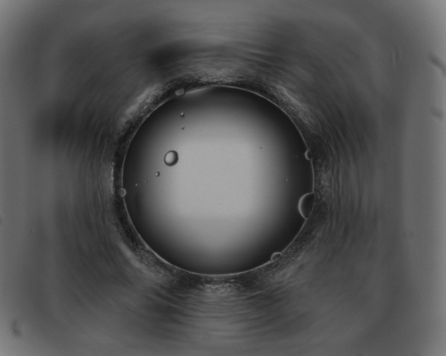 X0000093480686200710121446