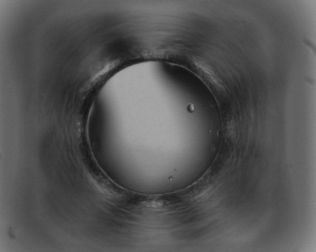 X0000093480687200710121446