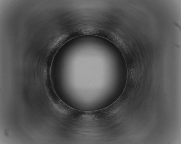 X0000093480690200710121446
