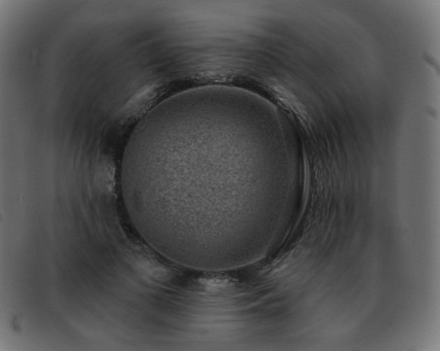 X0000093480693200710121446