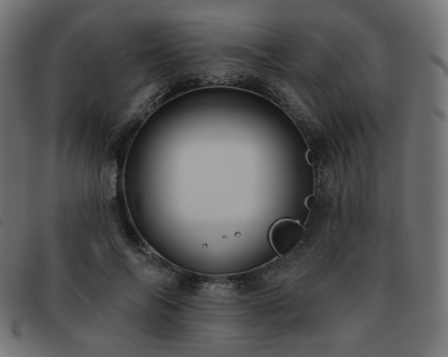 X0000093480694200710121446