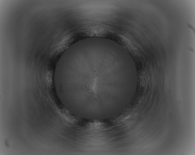 X0000093480695200710121446