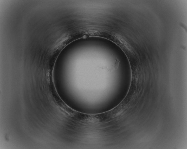 X0000093480696200710121446