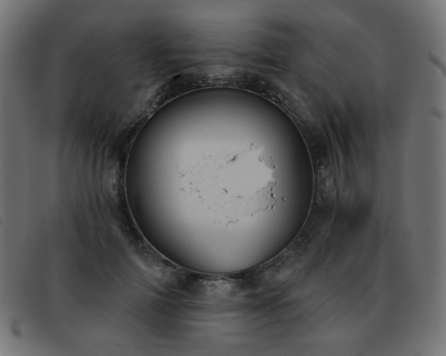 X0000093480698200710121446
