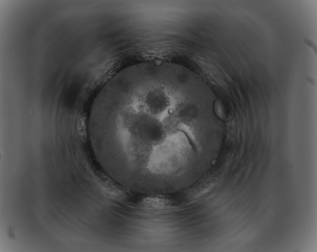 X0000093480699200710121446