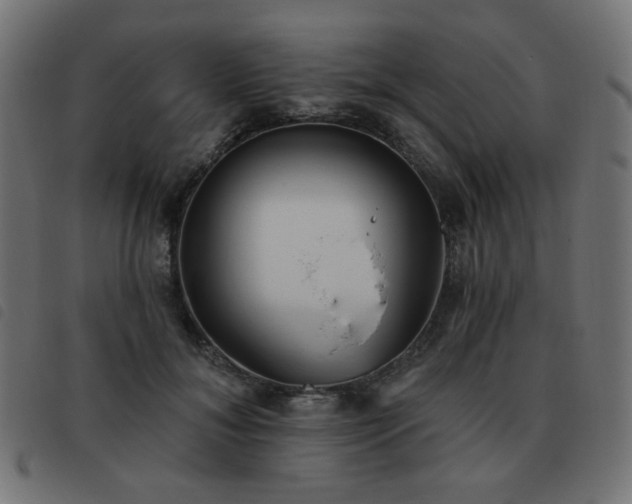 X0000093480700200710121446