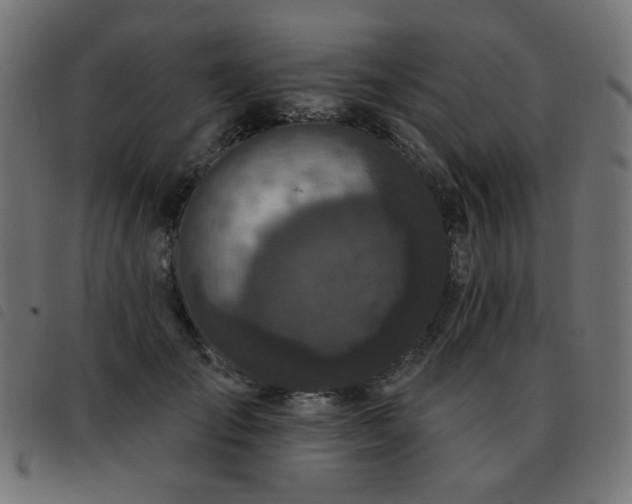 X0000093480701200710121446