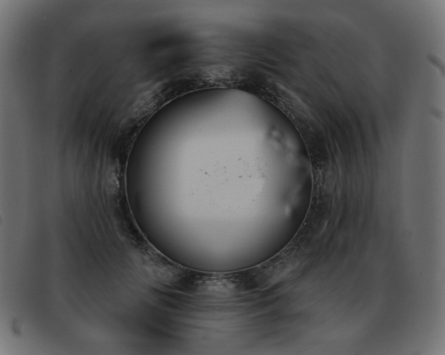 X0000093480702200710121446