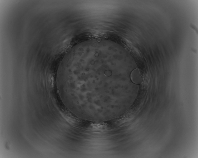 X0000093480703200710121446