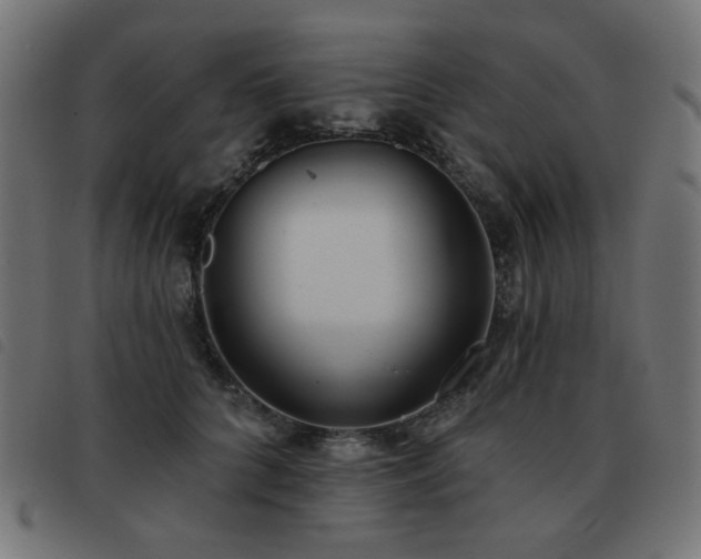 X0000093480704200710121446