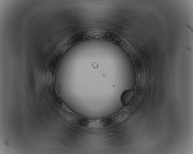 X0000093480705200710121446