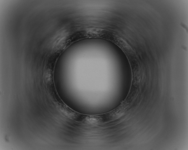 X0000093480706200710121446