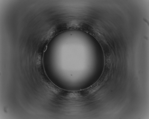 X0000093480708200710121446