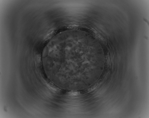 X0000093480711200710121446