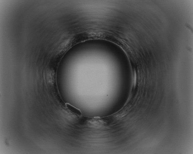 X0000093480712200710121446