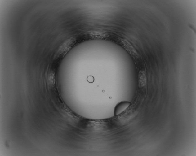 X0000093480713200710121446
