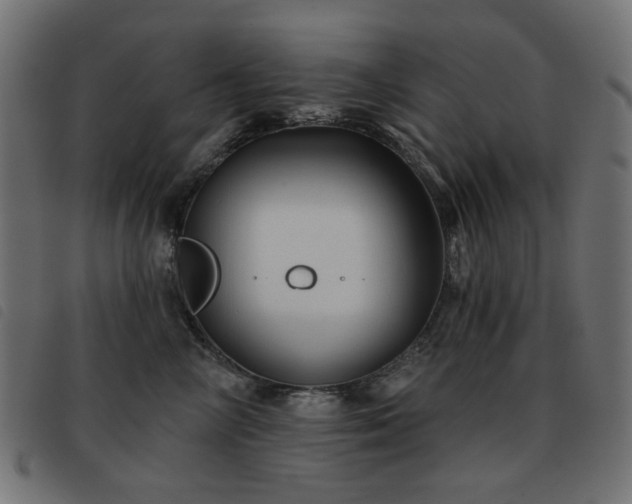 X0000093480714200710121446