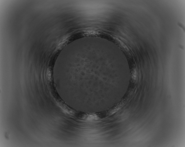 X0000093480715200710121446