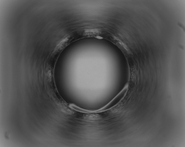 X0000093480716200710121446