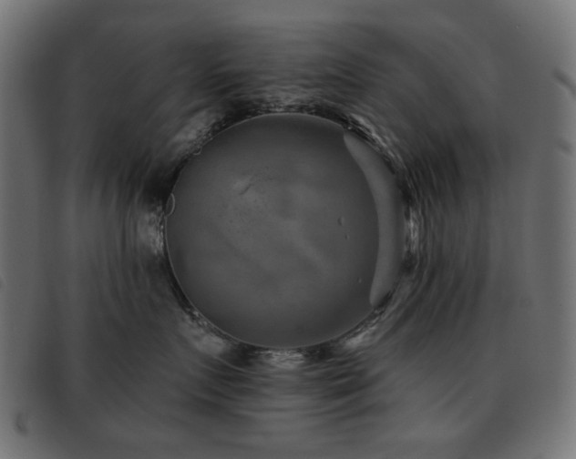 X0000093480719200710121445