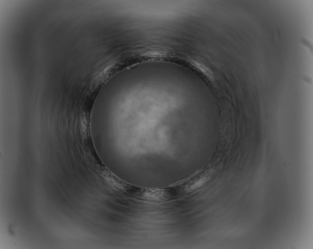 X0000093480720200710121445