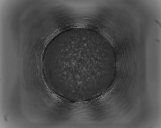 X0000093480721200710121445