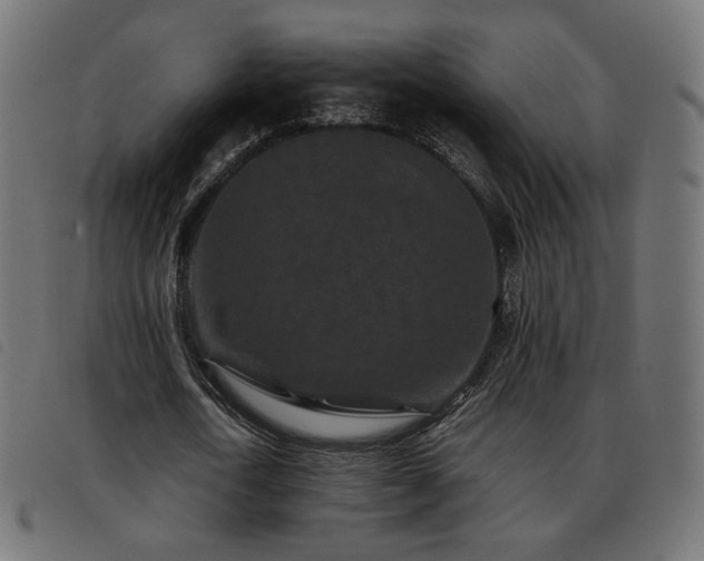 X0000093480722200710121445