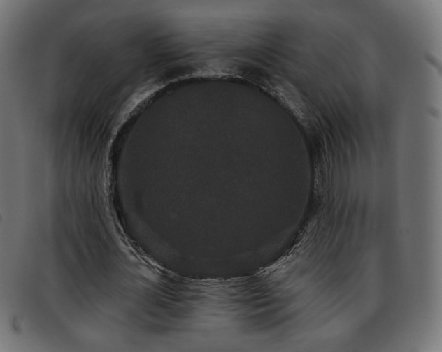X0000093480724200710121445