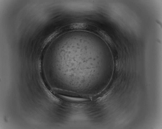 X0000093480725200710121445