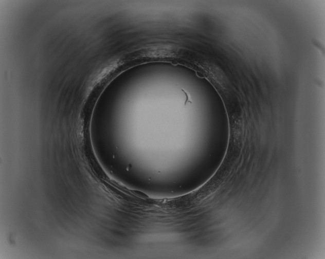 X0000093480727200710121445