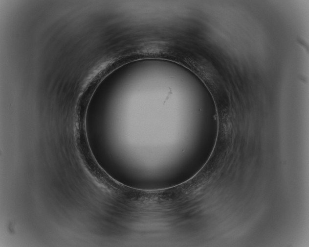 X0000093480728200710121445