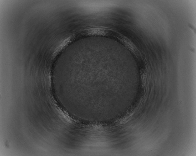 X0000093480729200710121445