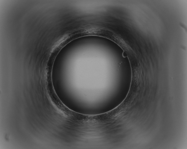 X0000093480730200710121445