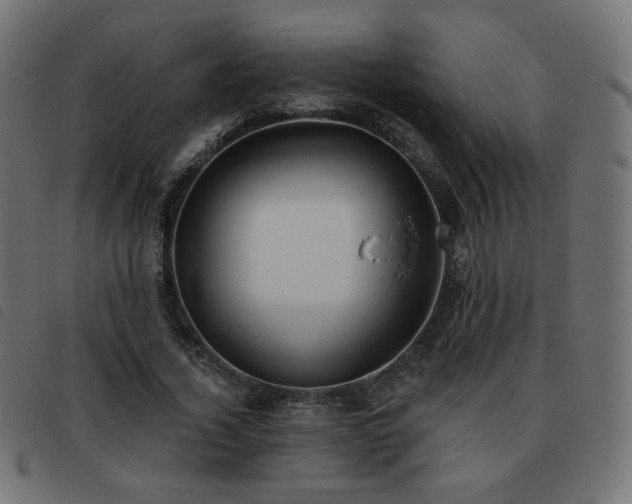 X0000093480732200710121445