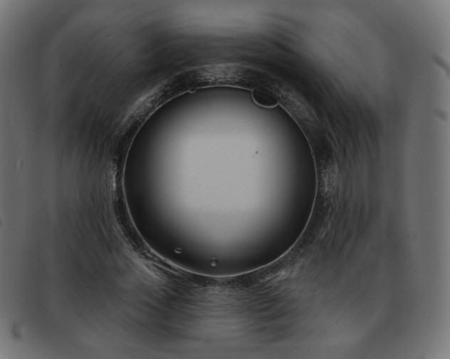 X0000093480733200710121445