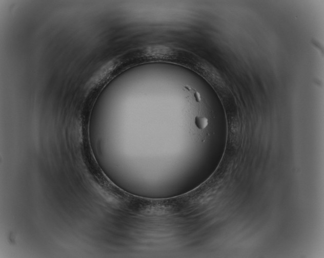 X0000093480734200710121445