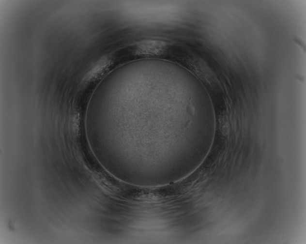 X0000093480735200710121445