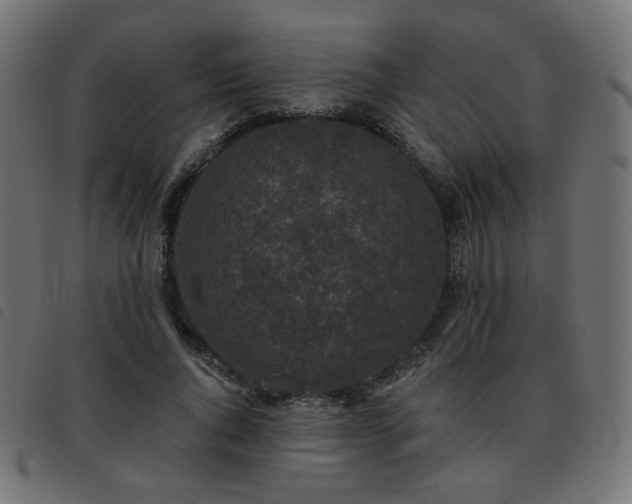 X0000093480736200710121445
