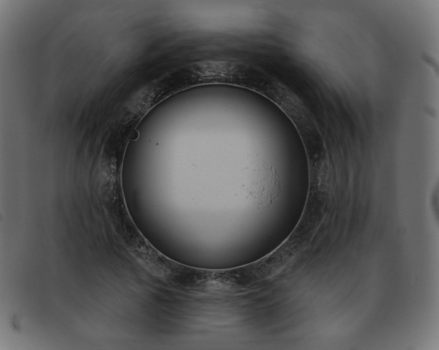X0000093480737200710121445