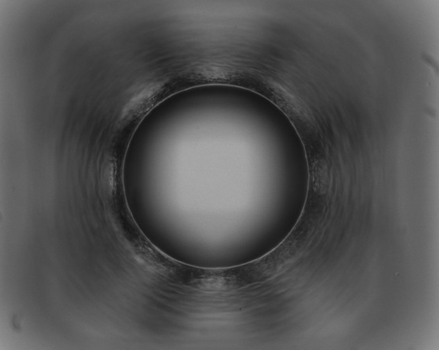 X0000093480740200710121445