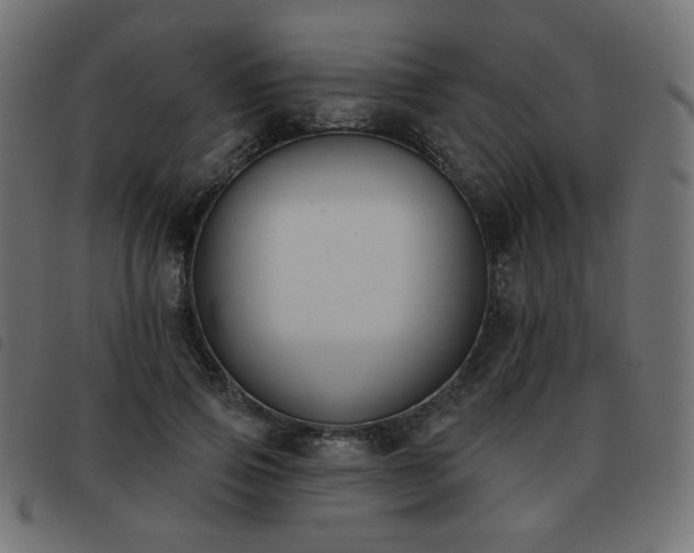 X0000093480741200710121445