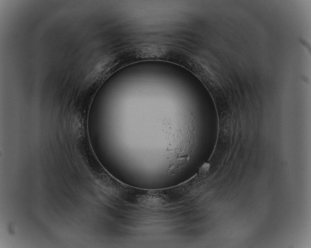 X0000093480743200710121445