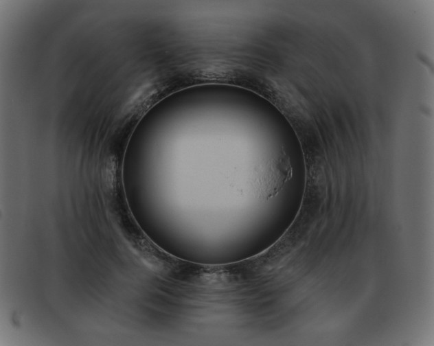 X0000093480744200710121445