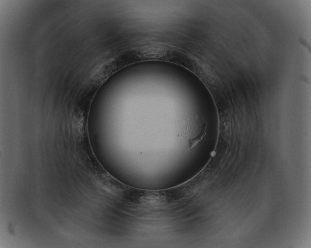 X0000093480745200710121445