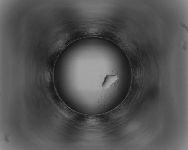 X0000093480746200710121445