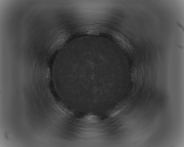 X0000093480748200710121445