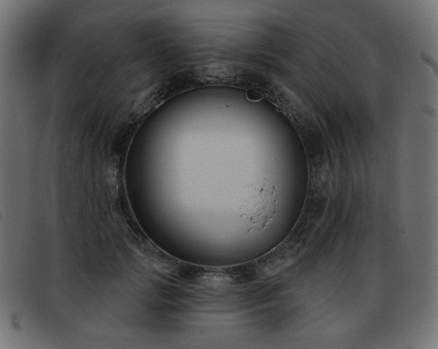 X0000093480749200710121445